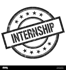 Internship icon